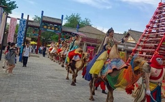 24小时成人电视